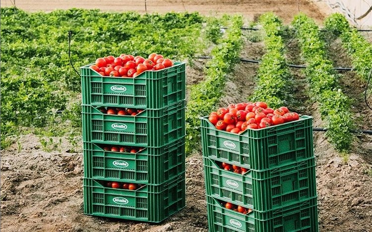 'La cocina de Alvalle' prevé producir 25 millones de litros de gazpacho este verano.