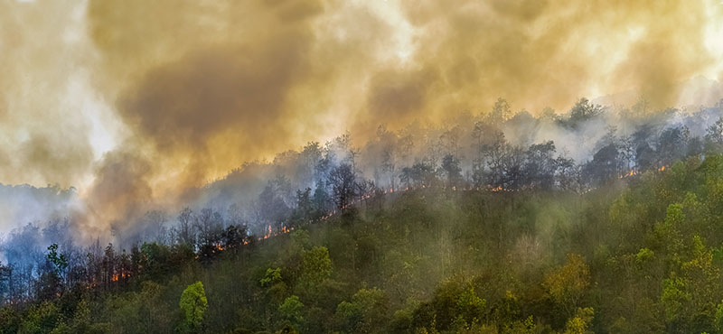 Los montes españoles se encuentran este año en situación de alto riesgo de incendios.