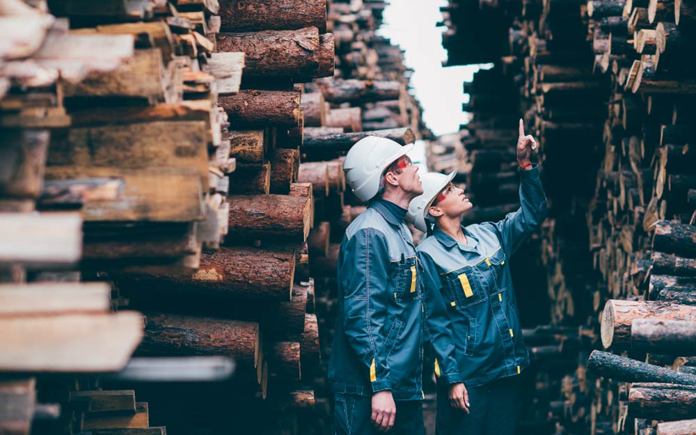 COPADE lleva a cabo numerosos proyectos para impulsar un consumo de madera sostenible.