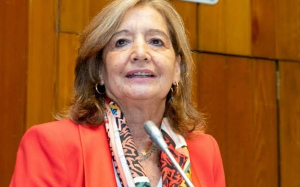 Cristina Rodríguez-Porrero, presidenta de la Comisión de Envejecimiento Activo y Saludable de la PMP.
