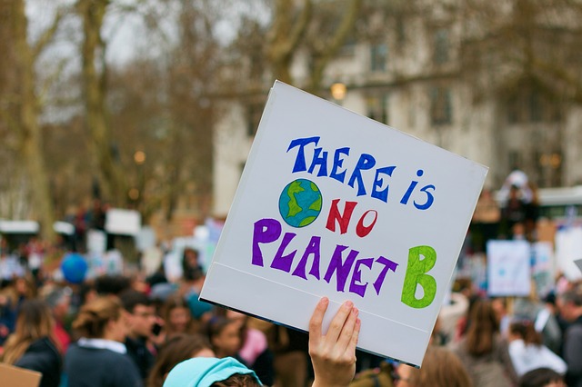 Fridays for Future organiza diferentes reivindicaciones para defender acciones contra el cambio climático.