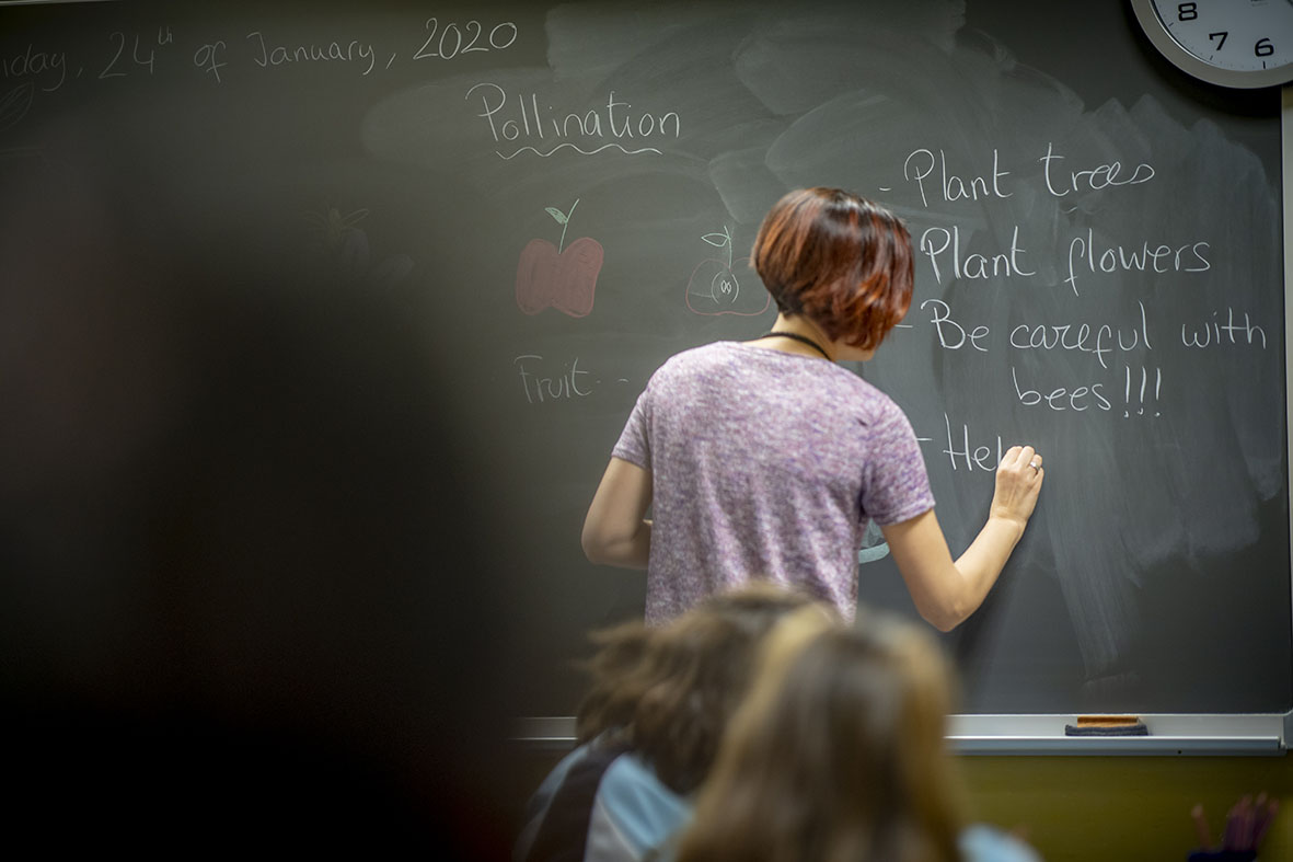 Formación online gratuita para  profesores de Primaria con el Proyecto Naturaliza de Ecoembes.