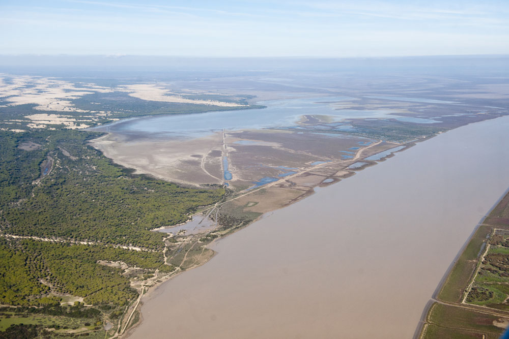 Estuario del Guadalquivir.