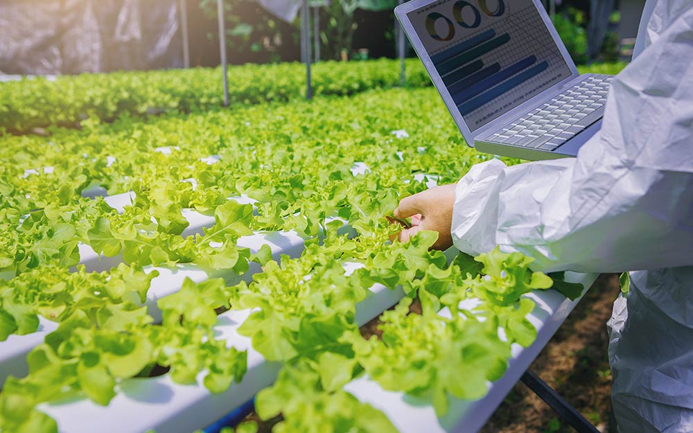 El reto Santander X ‘Food for the Future’ premió proyectos innovadores en la industria alimentaria.