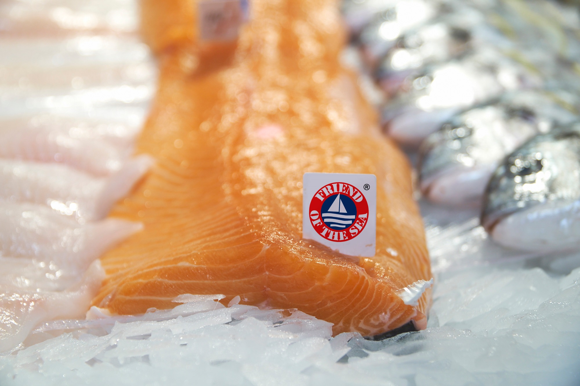 Pescado sostenible con el sello Friends of the Sea.