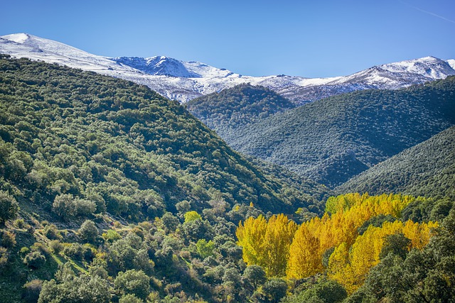 Los parques naturales atesoran un alto interés paisajístico y un elevado valor en su flora y su fauna