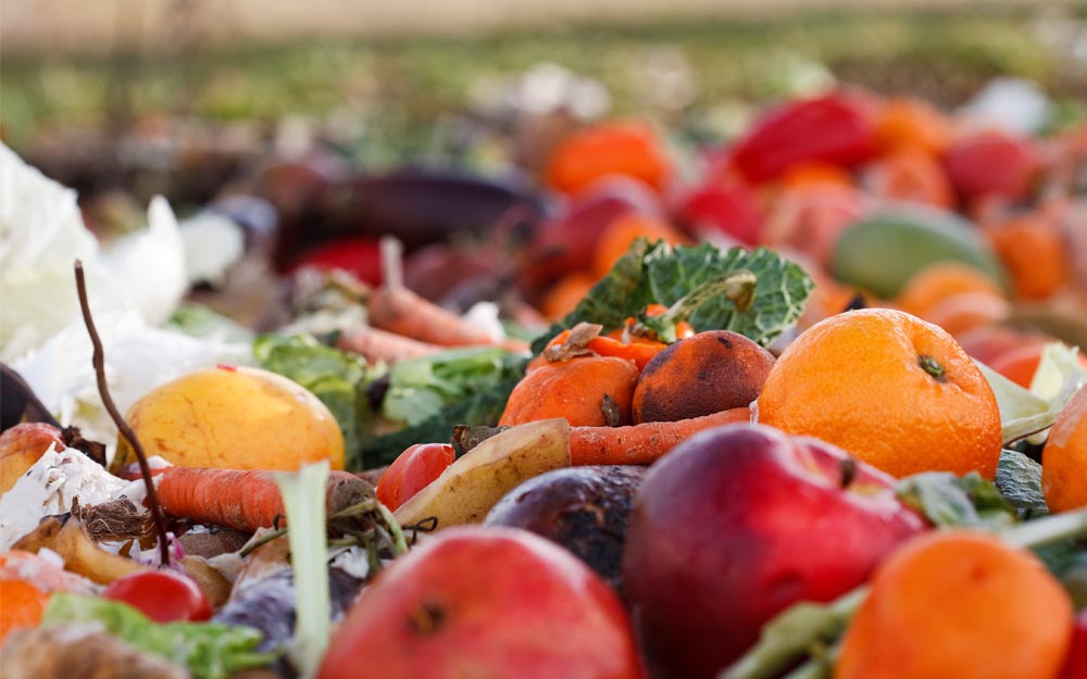 Cada año se desperdicia o se pierde entre el 30 y el 40% del total del alimento mundial.