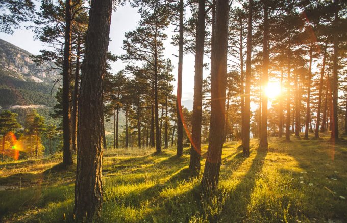 El proyecto Motor Verde tiene un impacto medioambiental, social y económico