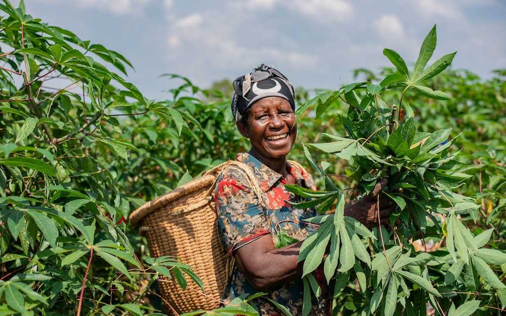Las condiciones laborales de las mujeres agricultoras tienden a ser peores que las de los hombres.
