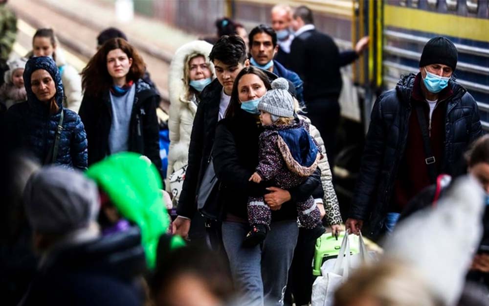 La mayoría de refugiados registrados en EU4UA tenía trabajos de oficina en Ucrania.