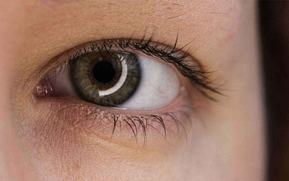 La retinopatía diabética es la principal causa de ceguera entre los 20 y los 65 años.