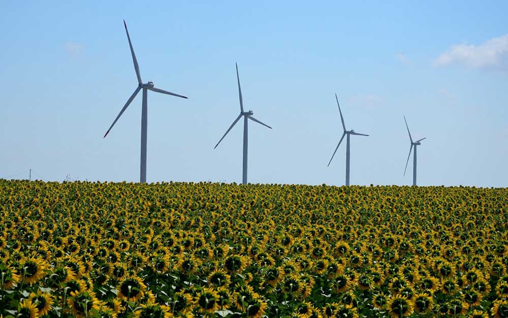 La caída de los costes ayudará a acelerar la adopción generalizada de fuentes de energía renovables.