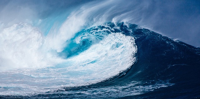 El 'Tratado de alta mar' colocaría el 30% de los océanos del mundo en áreas protegidas.