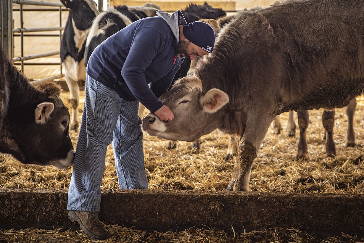 Jorge Hernández, ganadero de Quién es el Jefe, con sus vacas