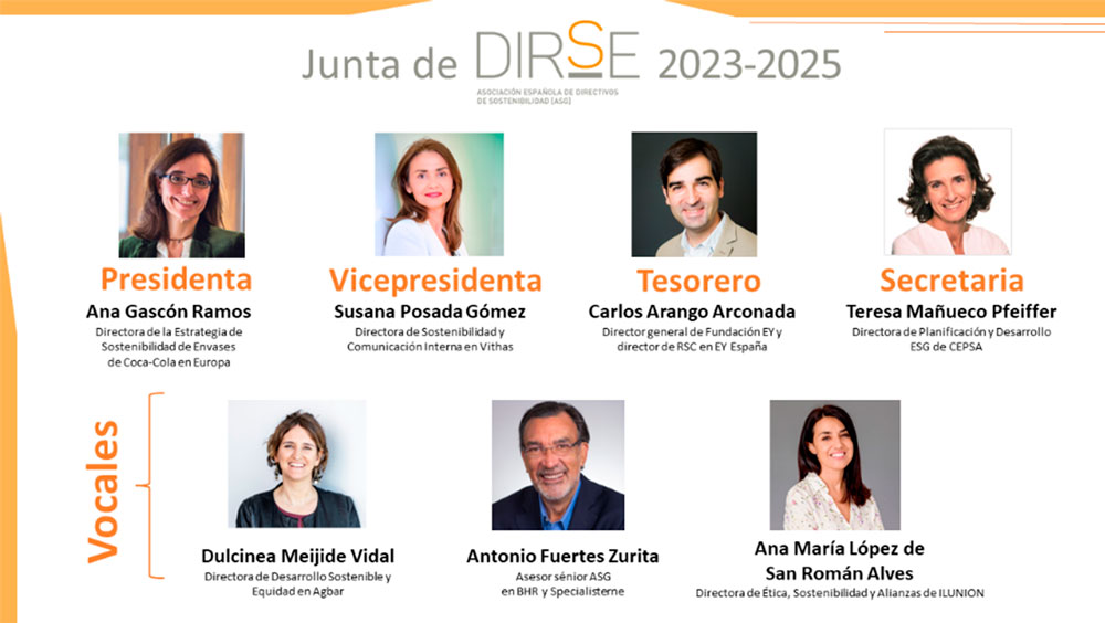 Composición de la nueva Junta Directiva de DIRSE.