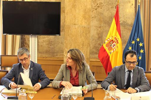 La vicepresidenta de Transición Ecológica, Teresa Ribera, en la presentación del anteproyecto en el Consejo Asesor de Medio Ambiente.