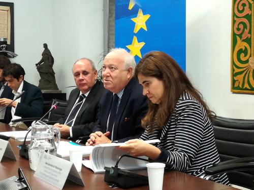 Carlos Daniel Casares (FEMP), Miguel Ángel Moratinos (REDS) e Inés Sánchez de Madariaga (UPM)