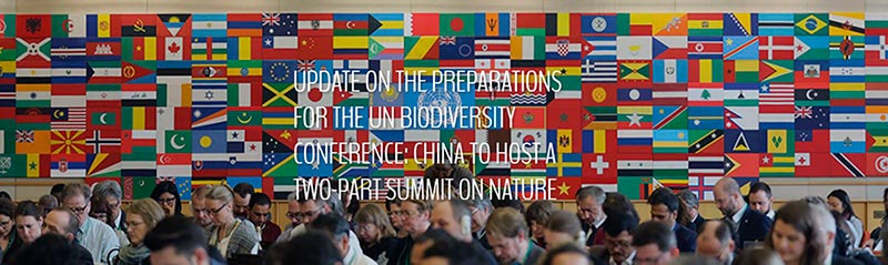 Segunda parte conferencia de la ONU en Biodiversidad 