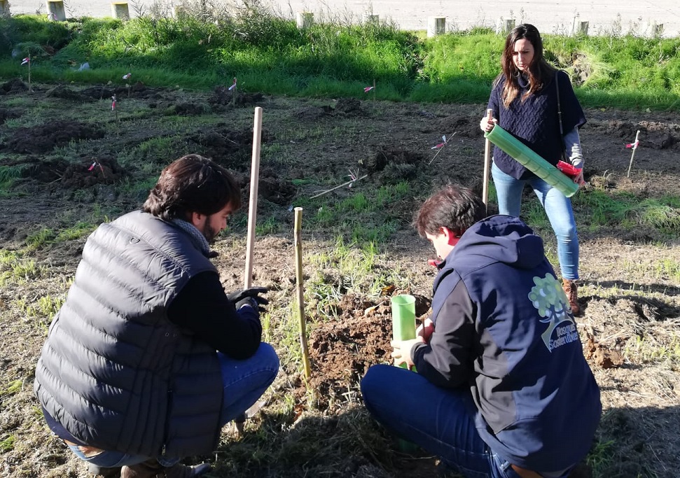 Miembros del equipo de Bosques Sostenibles, en un proyecto de reforestación en la provincia de Sevilla