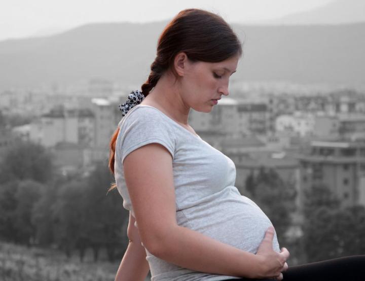 La exposición prenatal a dióxido de nitrógeno, partículas finas y carbono negro se asocia con cambios morfológicos en el cerebro fetal.