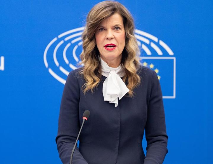 La eurodiputada Biljana Borzan (S&D, Croacia) presentó la nueva Directiva europea después de su aprobación.