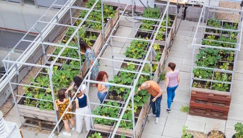 Azotea del ICA-CSIC. @ César Hernández (CSIC).