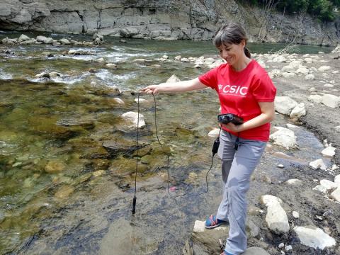 La científica Belinda Gallardo alerta que las plantas acuáticas también suelen crecer desproporcionadamente, tapizando toda la superficie del agua, y afectando a la depuración y explotación de la misma.