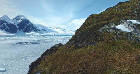 La tasa a la que la vegetación se está expandiendo ha aumentado en más del 30% en los últimos años (2016-2021).