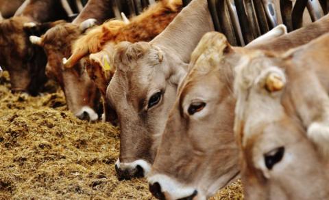 El impacto del calor húmedo se prolonga más de 10 días después de la exposición.