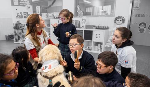 'Momentos by Kiwoko' es un programa de intervención asistida con perros de terapia, en colaboración con Hill’s, diseñado para mejorar el bienestar emocional, social y educativo de niños con discapacidad o en riesgo de exclusión social.