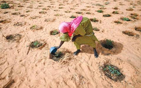 El Fondo potenciará el alcance y el impacto de la acción climática de ACNUR.
