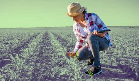 Cada vez es más frecuente que las temperaturas superen durante el día los 40°C e, incluso, los 50°C.