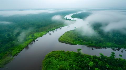 La deforestación en el Amazonas contribuye significativamente al cambio climático.