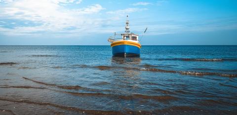 La pesca sostenible multiplicaría por seis la producción de alimentos marinos.