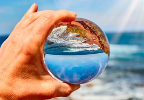 La startup Belong to Sea ha puesto en marcha la Plataforma Conciencia Medioambiental