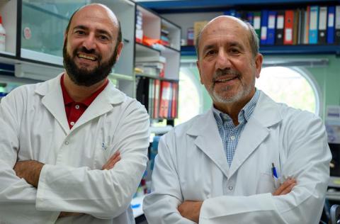 Los investigadores Juan García Arriaza y Mariano Esteban, del CNB-CSIC. / CSIC