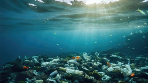 La investigación abarca seis años de observaciones del satélite europeo Copernicus Sentinel-2 en el Mediterráneo.