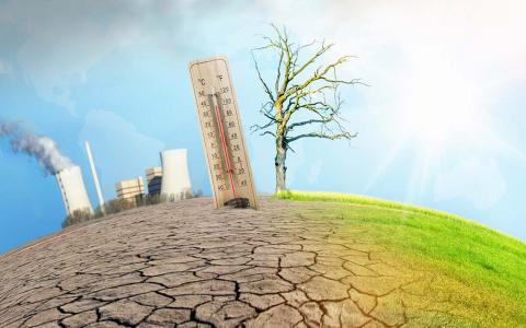 El informe ‘Comunicando el Progreso’ destaca el compromiso de las empresas para frenar el cambio climático.