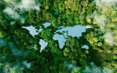 El transporte representa el 77% de las emisiones de CO2 de un viaje.