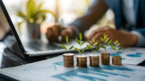 El estudio propone algunas recomendaciones para los reguladores para abordar las preocupaciones de los inversores.