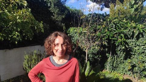 Miren del Río, investigadora del Instituto de Ciencias Forestales (ICIFOR-INIA-CSIC).