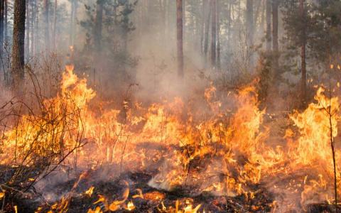 Las tecnologías emergentes están desempeñando un papel vital para compensar el déficit presupuestario.