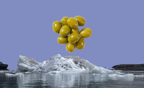 La investigación abre la puerta a una solución innovadora y sostenible que conecta la agricultura tradicional con las tecnologías del futuro.