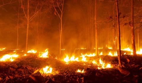 La proporción de fuegos que superan las 500 hectáreas ha aumentado y, con ellos, el riesgo para personas, ecosistemas y poblaciones.