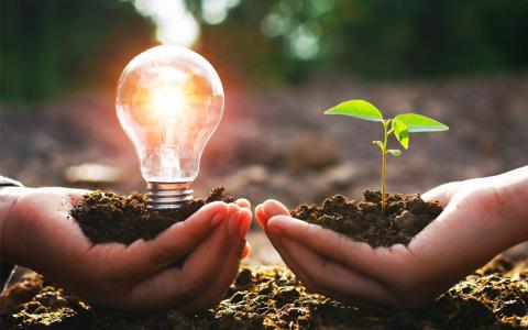 Apple, Microsoft, Amazon, Alphabet y Tesla, en el top 5 del ranking del BCG.