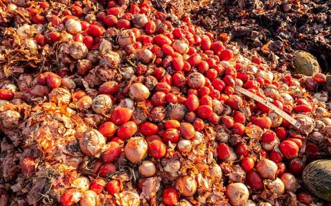 En España se desperdician alrededor de 8,9 millones de toneladas de alimentos al año.