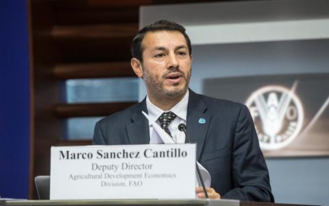 Marco Sánchez, director adjunto y oficial a cargo de la división de Economía Agroalimentaria de la FAO.