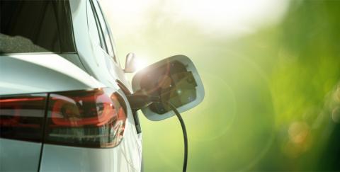 Las ofertas de empleo verde han aumentado un 27% en el último año.