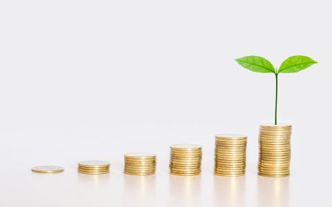 La inversión ESG ha batido récords en 2021.