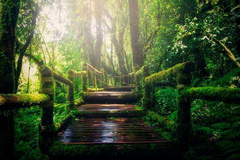 Este año se cumple el sexto aniversario de la implantación de los ODS por la ONU.